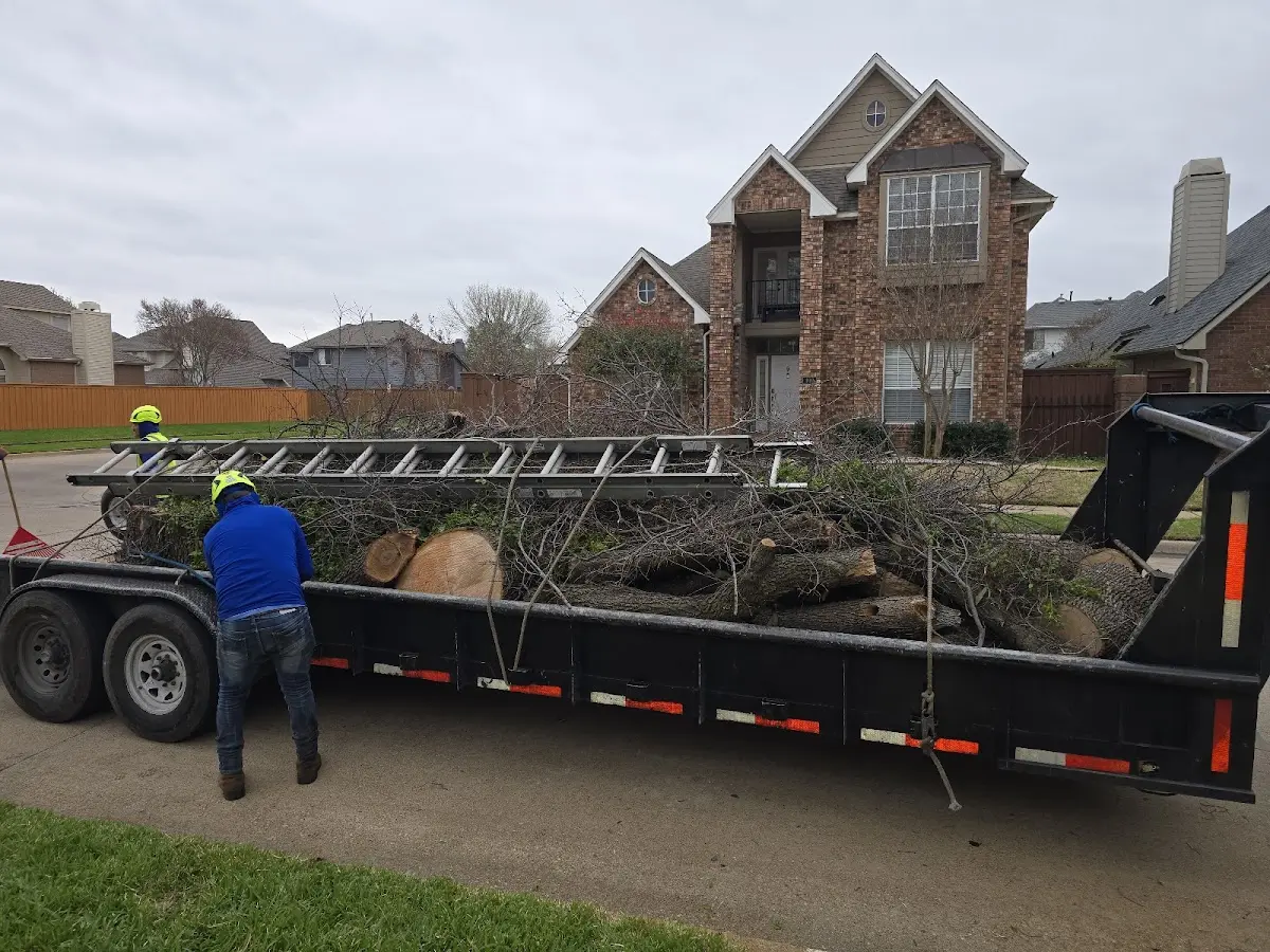 Expert Lot Clearing with proper safety equipment in New London